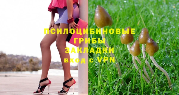 a pvp Алзамай