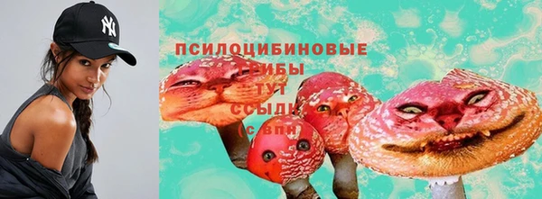 a pvp Алзамай