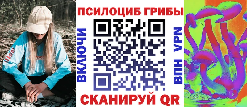 Псилоцибиновые грибы Psilocybe  как найти закладки  Апрелевка 